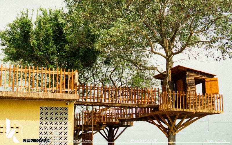 Lúa Cafe gây ấn tượng vớii thiết kế nhà trên cây ngắm trọn view lúa rộng lớn