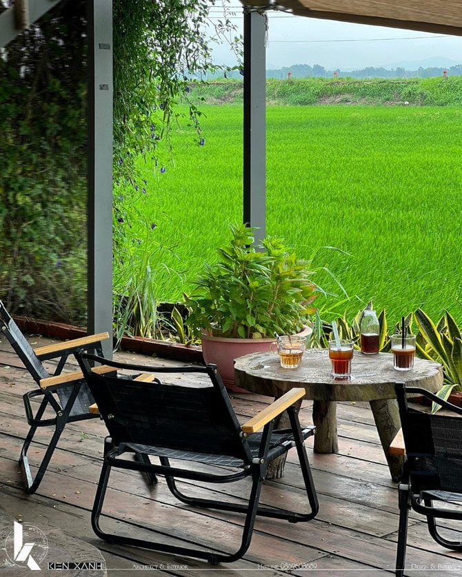 Ngả lưng trên chiếc ghế và hào mình và cảm nhận mùi hương lúa 