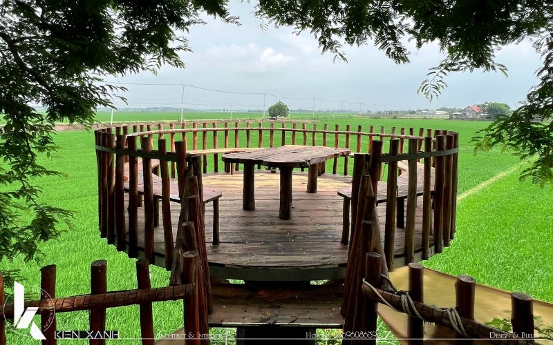 Vị trí ngắm đồng lúa từ trên chòi gỗ cao