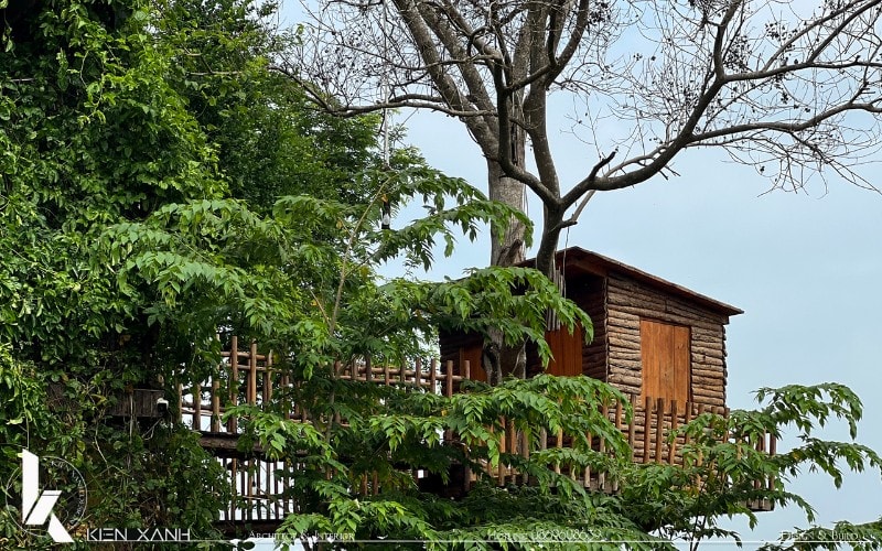 Thiết kế nhà trên cây gây ấn tượng thu hút du khách