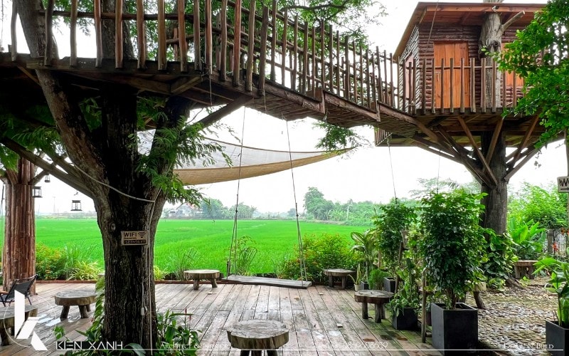 Lúa Cafe được Kiến Xanh khởi công vào năm 2023 và hoàn thiện chỉ sau 2 tháng