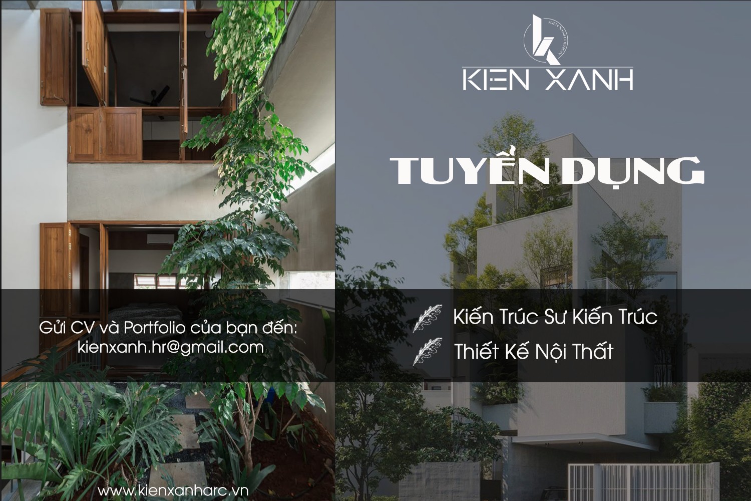 Kiến Xanh tuyển dụng nhân sự 2025